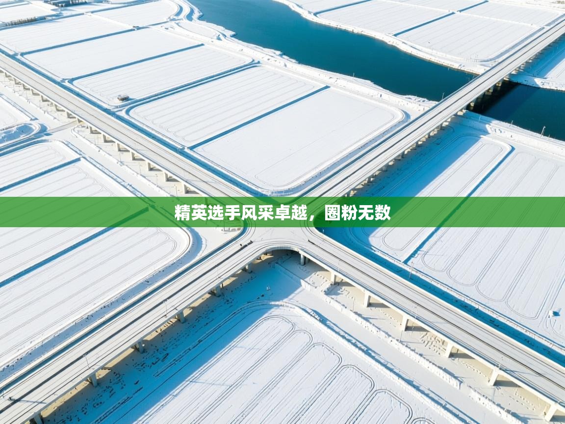 精英选手风采卓越，圈粉无数