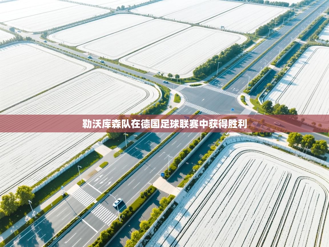 勒沃库森队在德国足球联赛中获得胜利  第1张