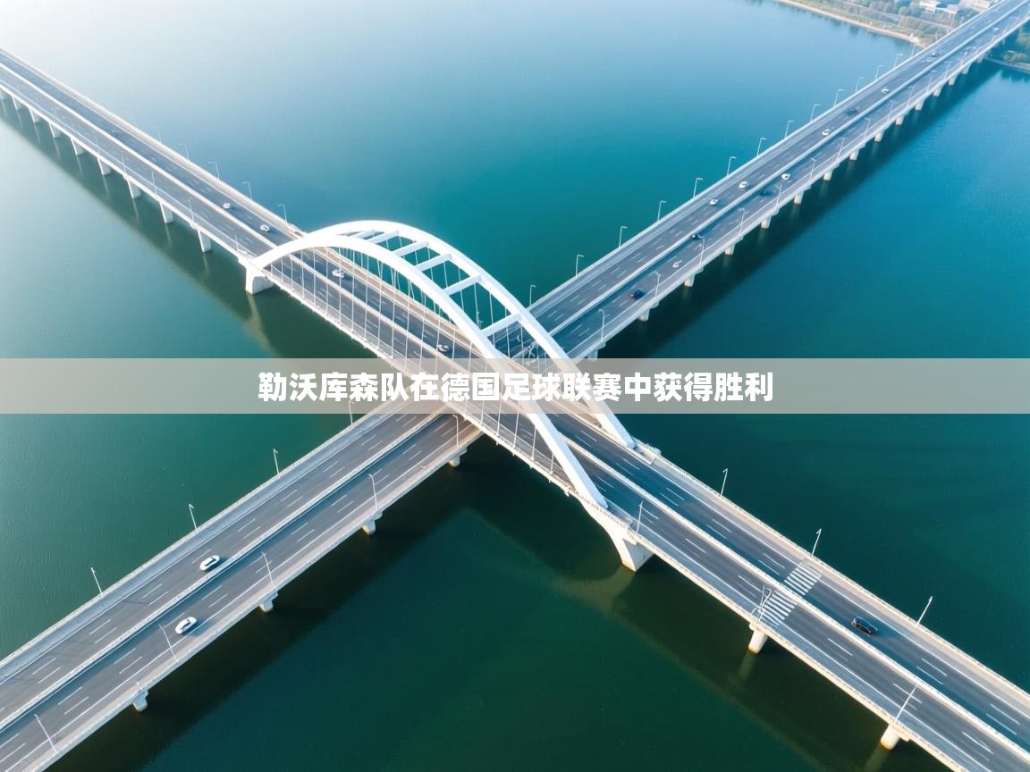 勒沃库森队在德国足球联赛中获得胜利  第2张